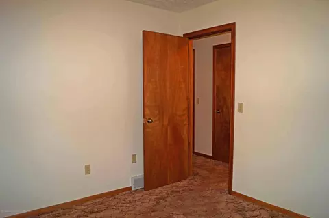 11733 Wood Rd, Dewitt, MI 48820 photo 14