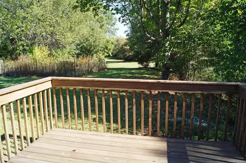 11733 Wood Rd, Dewitt, MI 48820 photo 31