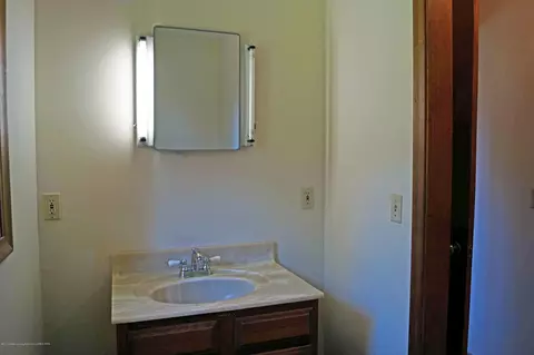 11733 Wood Rd, Dewitt, MI 48820 photo 20