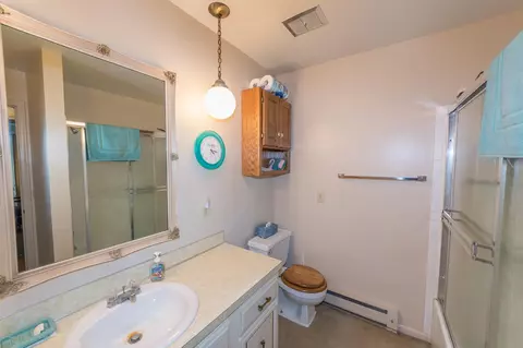 117 Agate Way, Williamston, MI 48895 photo 24