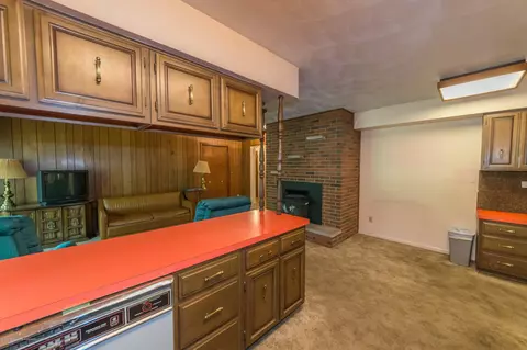 117 Agate Way, Williamston, MI 48895 photo 10