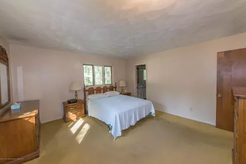 117 Agate Way, Williamston, MI 48895 photo 27