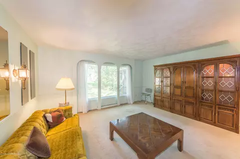 117 Agate Way, Williamston, MI 48895 photo 20