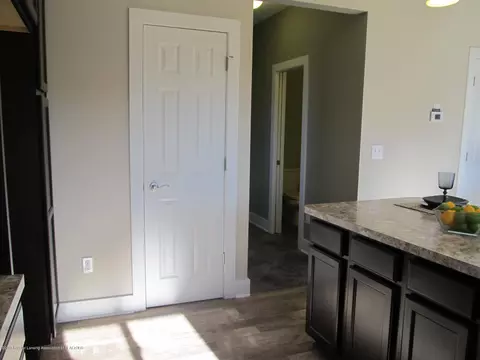 9065 W Lehman Rd, Dewitt, MI 48820 photo 19