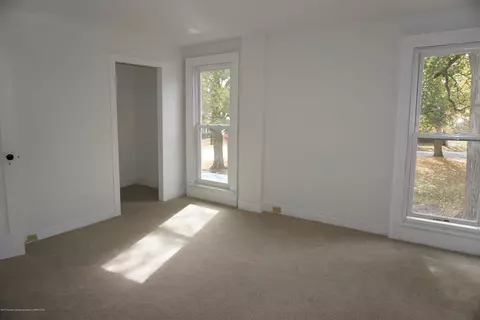 263 N Elizabeth, Lyons, MI 48851 photo 29
