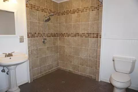 263 N Elizabeth, Lyons, MI 48851 photo 22