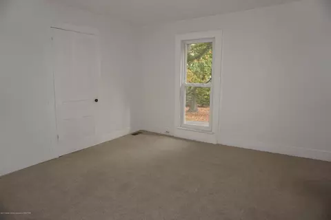 263 N Elizabeth, Lyons, MI 48851 photo 28