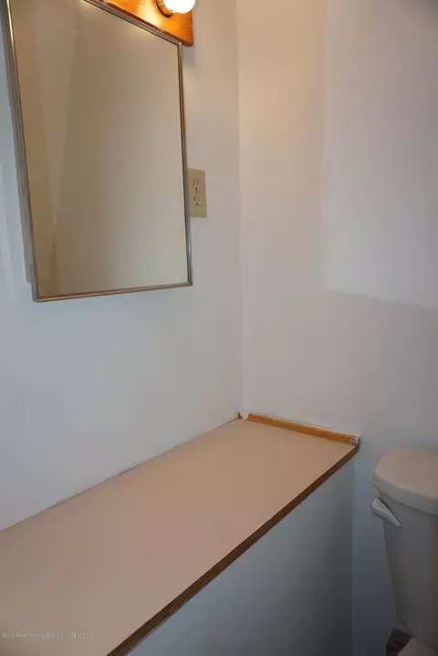263 N Elizabeth, Lyons, MI 48851 photo 34