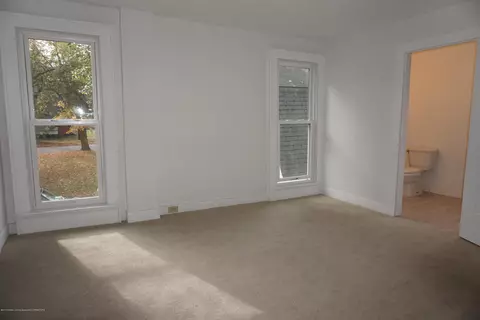 263 N Elizabeth, Lyons, MI 48851 photo 30