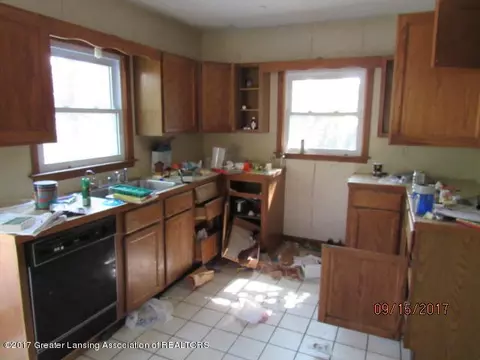 225 E Jefferson St, Dimondale, MI 48821 photo 4