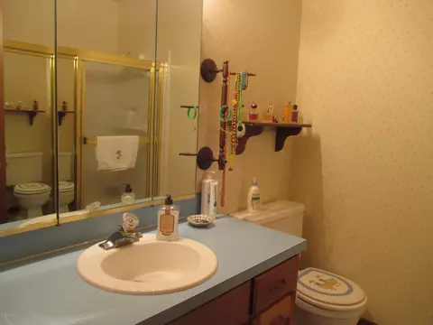 514 E Riv, Grand Ledge, MI 48837 photo 23