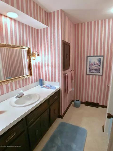 2065 Sheldrake Ave, Okemos, MI 48864 photo 22