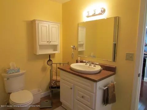 226 E Ash St, Mason, MI 48854 photo 7