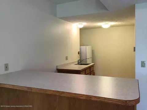 5552 Silverleaf Ct, Haslett, MI 48840 photo 19