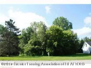 1609 Stauffer Ln, Dewitt, MI 48820 photo 1