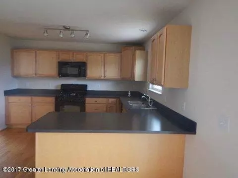 6938 Castleton, Grand Ledge, MI 48837 photo 3