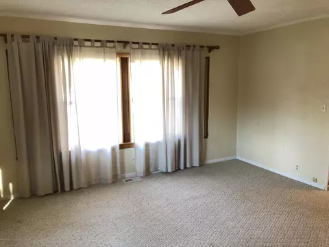 216 Mill St, Maple Rapids, MI 48853 photo 9