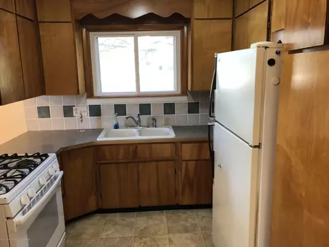 216 Mill St, Maple Rapids, MI 48853 photo 12