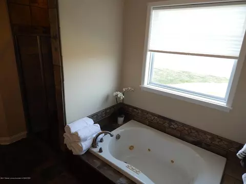 4546 W Bath Rd, Perry, MI 48872 photo 26