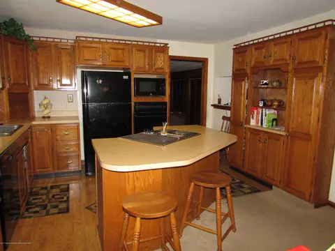 207 S Walnut Ct, Mason, MI 48854 photo 9