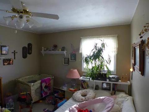 13520 Turner Rd, Dewitt, MI 48820 photo 8
