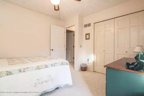 13075 Apple Tree Ln, Dewitt, MI 48820 photo 29