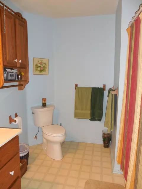 3336 Rolfe Rd, Mason, MI 48854 photo 13