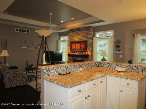 13617 Pearwood Dr, Dewitt, MI 48820 photo 8