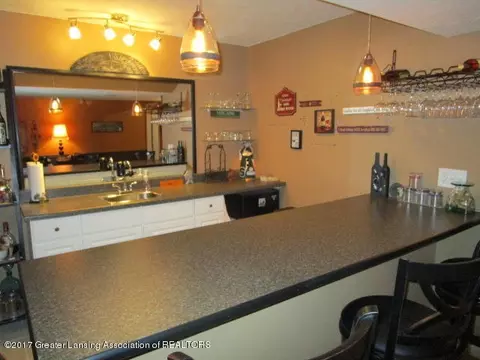 13617 Pearwood Dr, Dewitt, MI 48820 photo 22