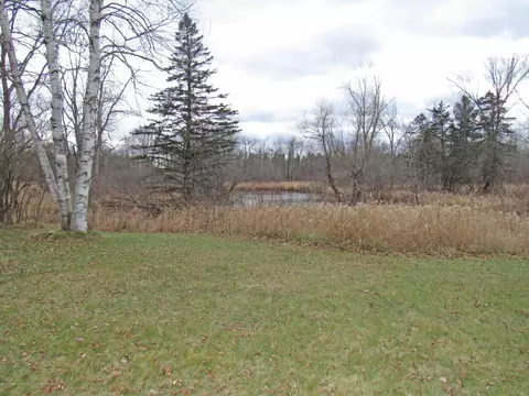 9510 Coleman Rd, Haslett, MI 48840 photo 2