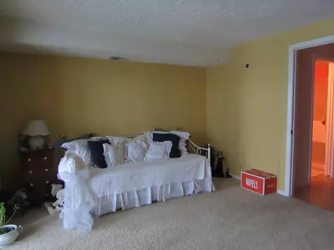1224 Academic Way, Haslett, MI 48840 photo 28