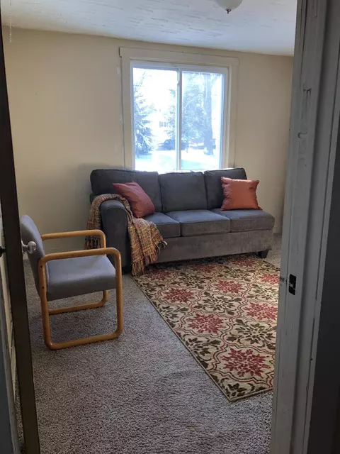 215 E North St, Lansing, MI 48906 photo 5