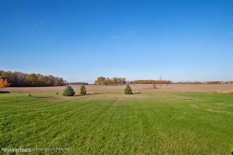11370 W Howe, Eagle, MI 48822 photo 24