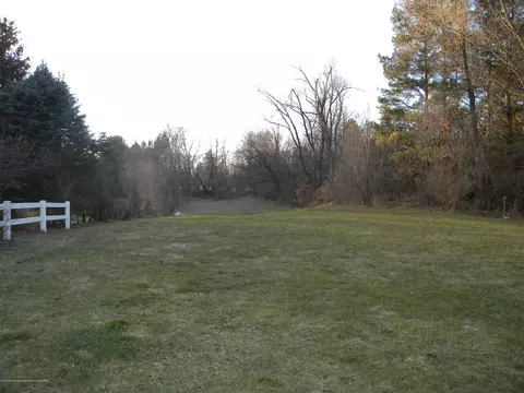 220 S Williams, Perry, MI 48872 photo 4