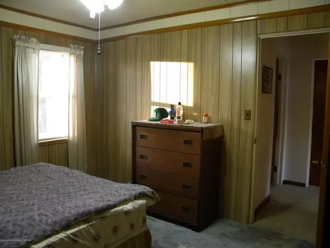 220 S Williams, Perry, MI 48872 photo 8