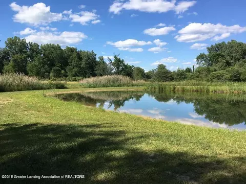 7201 Howe Rd, Bath, MI 48808 photo 3