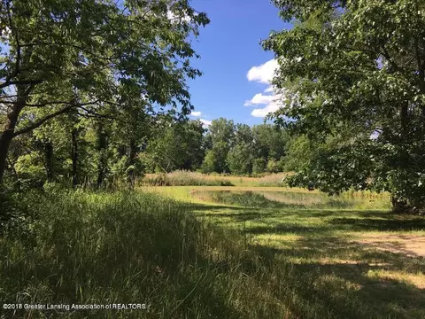 7201 Howe Rd, Bath, MI 48808 photo 21