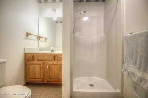 3894 White Pine Dr, Dewitt, MI 48820 photo 25