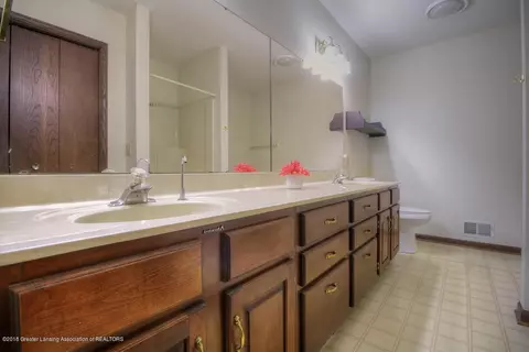 3894 White Pine Dr, Dewitt, MI 48820 photo 16