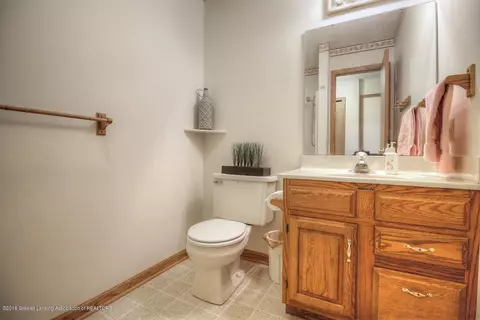 3894 White Pine Dr, Dewitt, MI 48820 photo 11