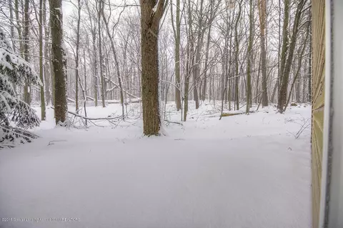 3894 White Pine Dr, Dewitt, MI 48820 photo 30