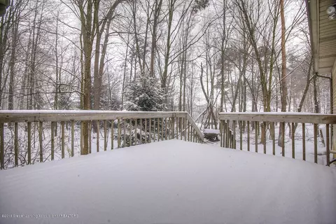 3894 White Pine Dr, Dewitt, MI 48820 photo 10