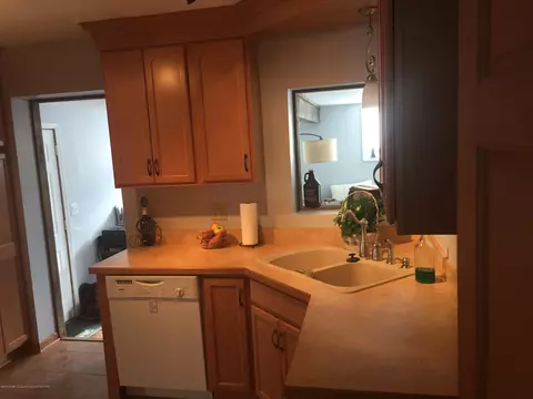 1139 Mitchell Ave, Lansing, MI 48917 photo 5