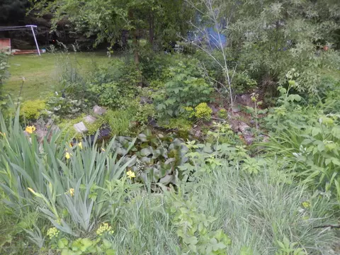 8488 Riverview Dr, Lyons, MI 48851 photo 17