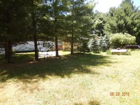 8488 Riverview Dr, Lyons, MI 48851 photo 14