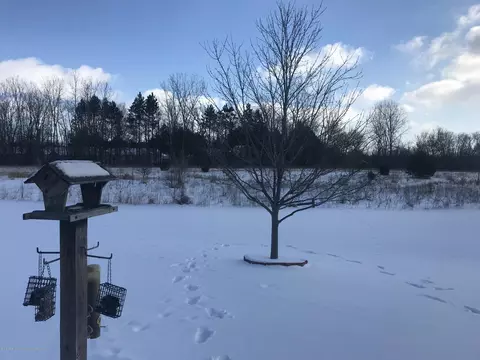 460 Red Cedar, Williamston, MI 48895 photo 3