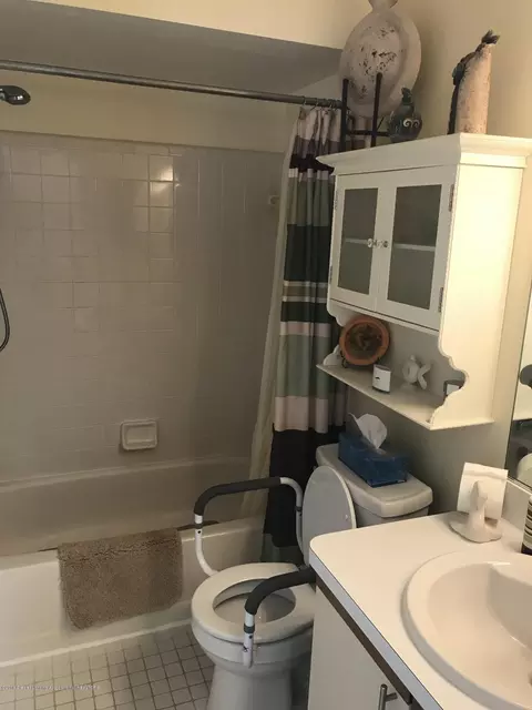 460 Red Cedar, Williamston, MI 48895 photo 9