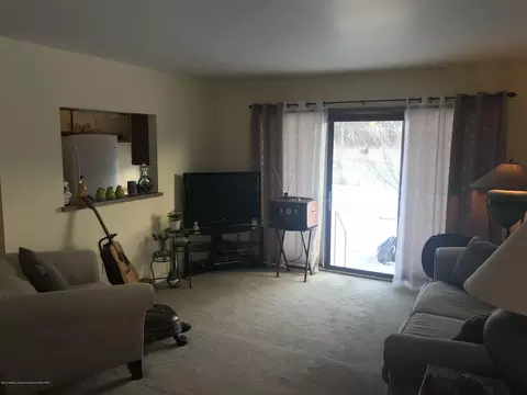 460 Red Cedar, Williamston, MI 48895 photo 5
