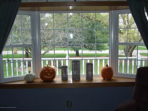 2536 Pine Tree Rd, Holt, MI 48842 photo 9