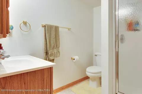 818 Blacksmith Trl, Williamston, MI 48895 photo 26